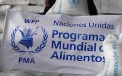 programa mundial alimentos