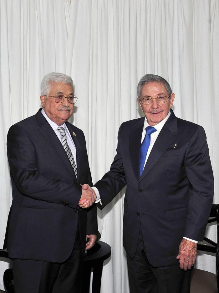 raul presidente palestino