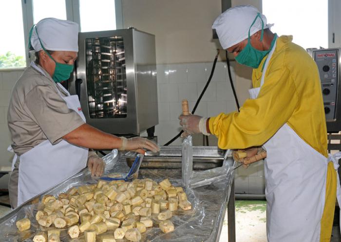 trabajadores ctc