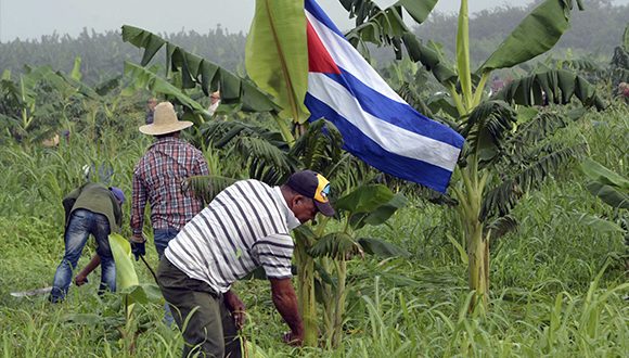 trabajo voluntario 580x330