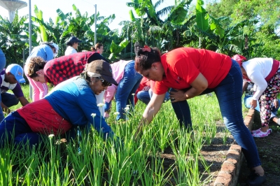 trabajos voluntarios