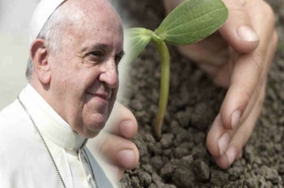 papa medio ambiente