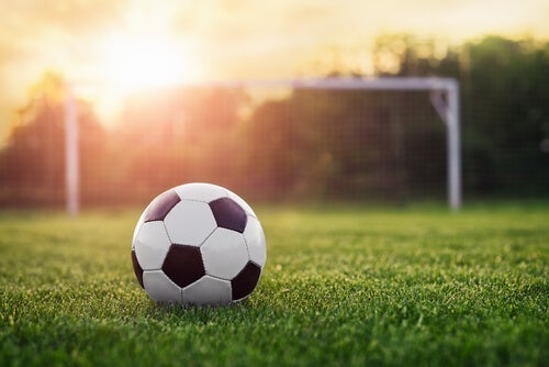 pelota futbol campo