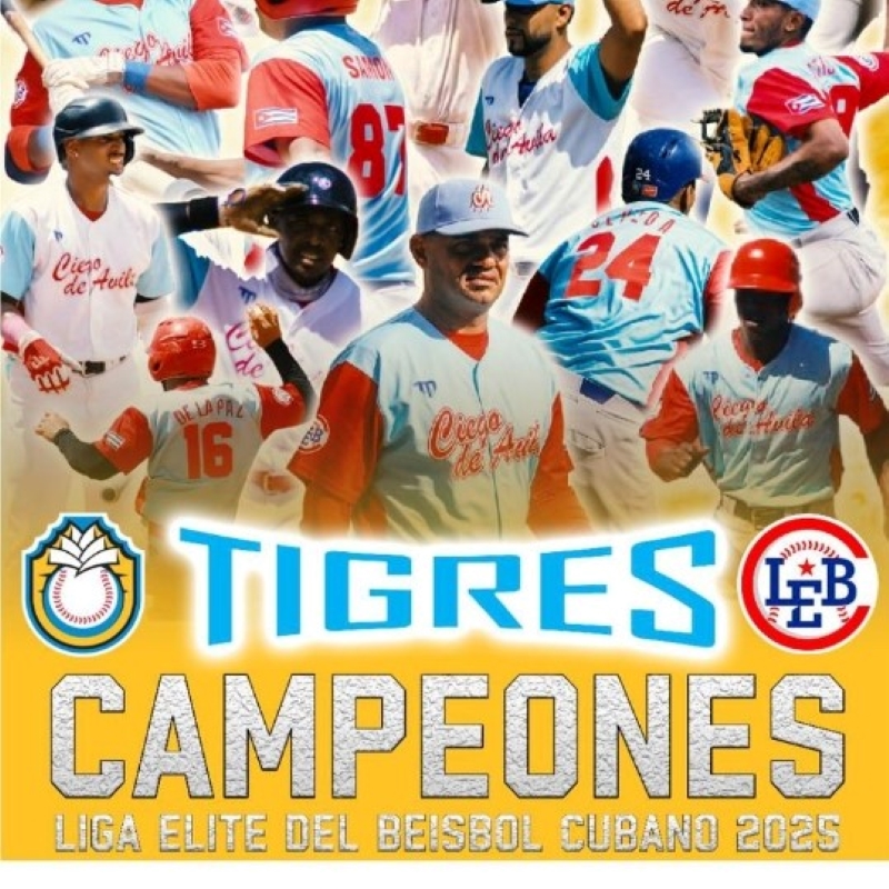 portada tigres
