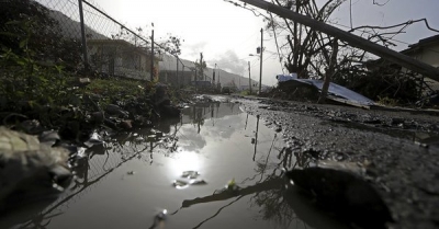 puerto rico mal