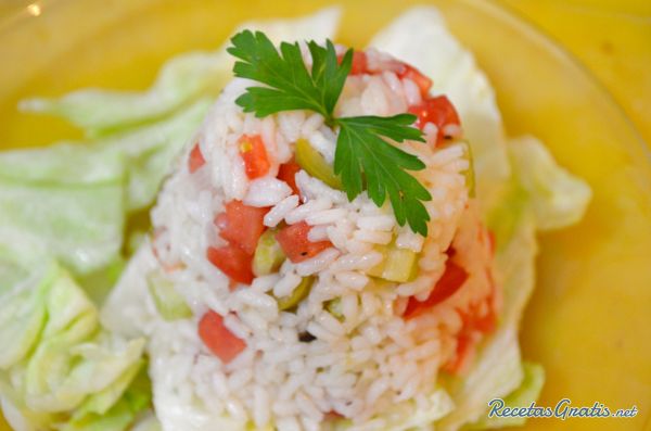 ensalada de arroz 5