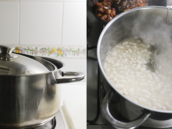 judias o frijoles blancos 5