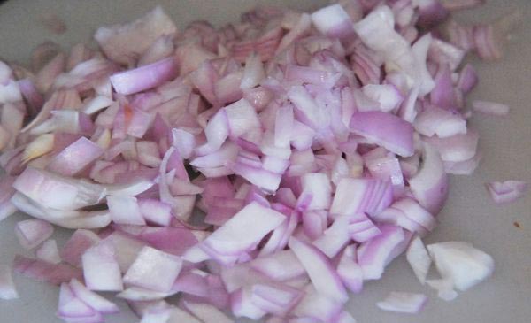 pico de gallo 3