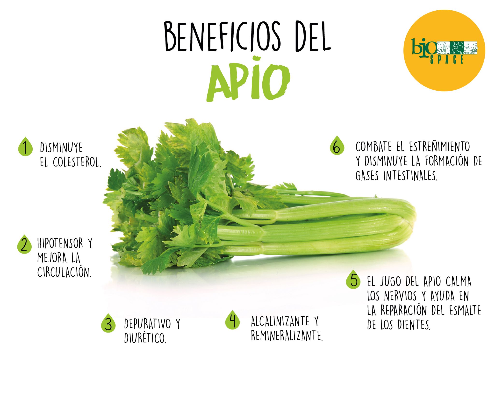 apio y sus beneficios