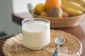 yogurt casero 1