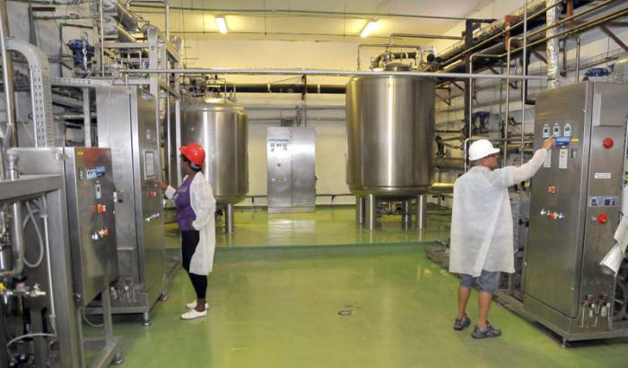 centro inmonología molecular