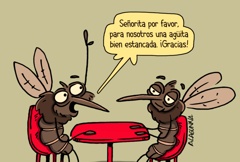 mosquitos agua estancada
