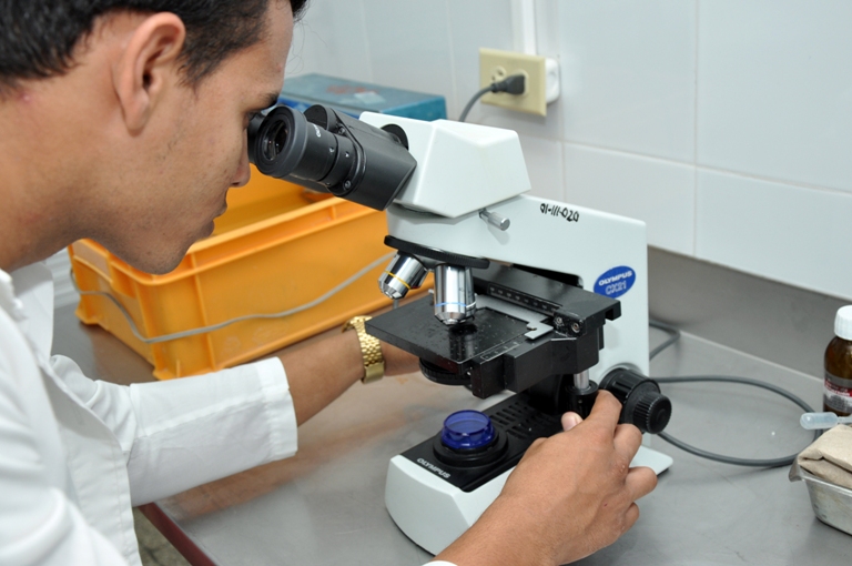 reproduccion asistida2