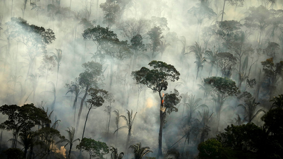 selva amazónica 580x326