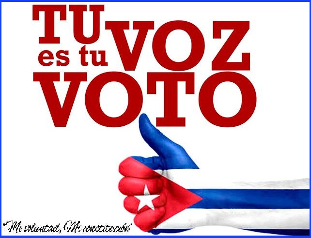 entrevista online constitucion