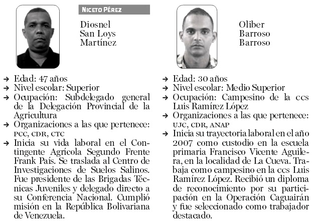 diputados 14