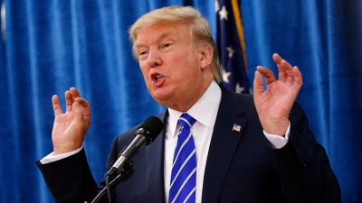 trump 231d