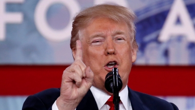 trump 8