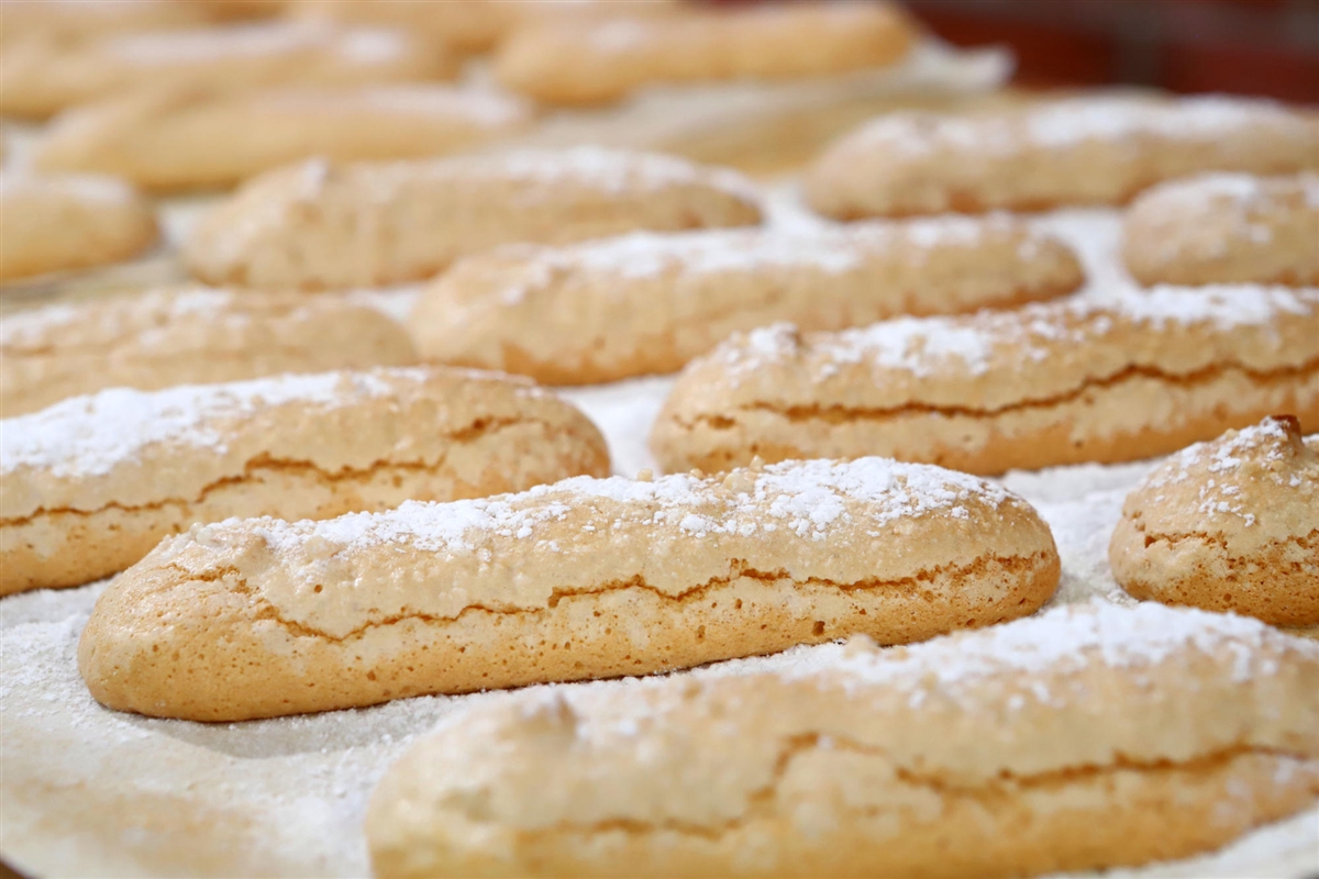 vaini lV4Xfg0CFNcj1HtaiYLUPMu2hEdDbv.png