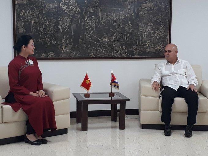 viet nam asoc mujer