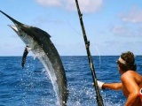 Aventura marina: Cuba anuncia Torneo de Pesca Big Game Trolling