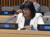 Reafirma Cuba en la ONU solidaridad con el pueblo de Palestina