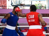 Más triunfos de Cuba en Copa Independencia de Boxeo