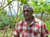 Instituto de Investigaciones Jorge Dimitrov busca alternativas orgánicas para la soberanía alimentaria en el oriente de Cuba
